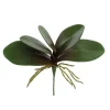 Phalaenopsis Leaf 11 in.