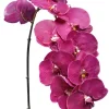 Phalaenopsis Spray 45 in. Fuchsia