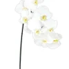 Phalaenopsis Spray 37.5 in. White