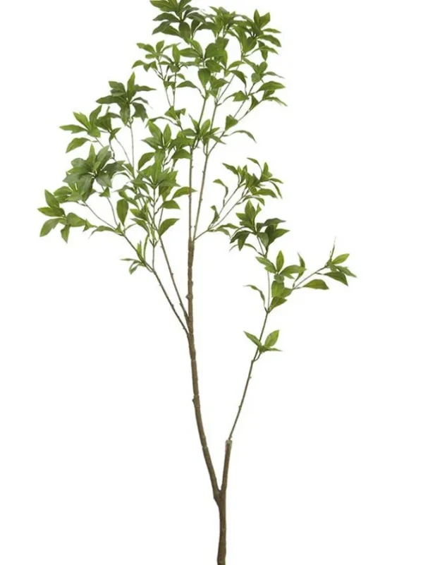 Pieris Japonica Branch 59 in. Green