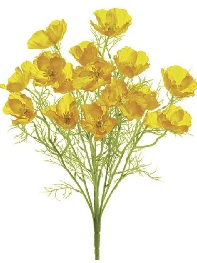 poppy_bush__in_yellow_0.webp Poppy Bush 21.5 in. Yellow