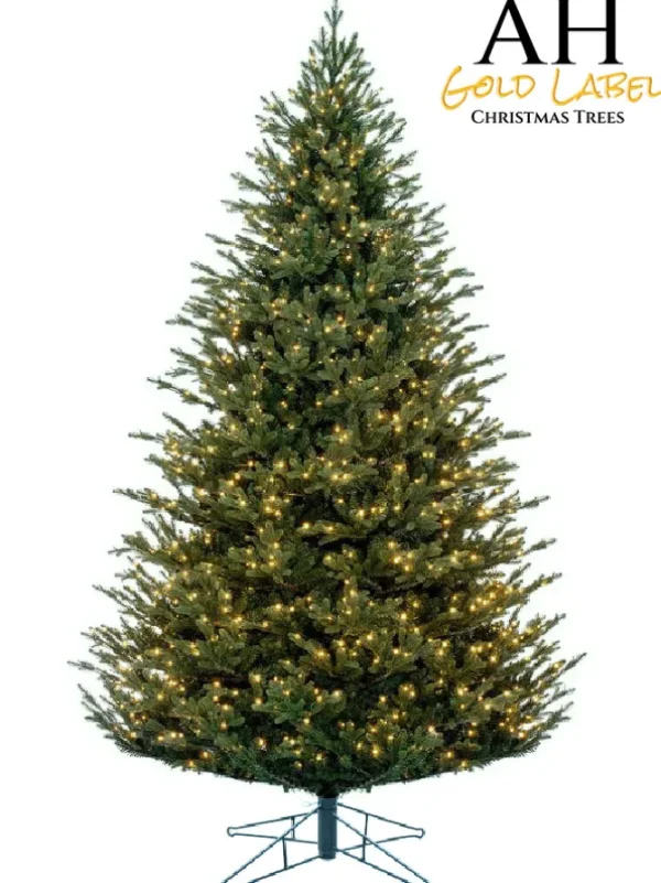 Princeton Fraser LED 9 FT
