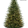 Princeton Fraser LED 12 FT