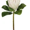 Protea Large 32 in. White