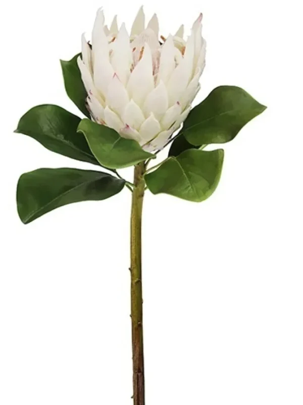 Protea Large 32 in. White