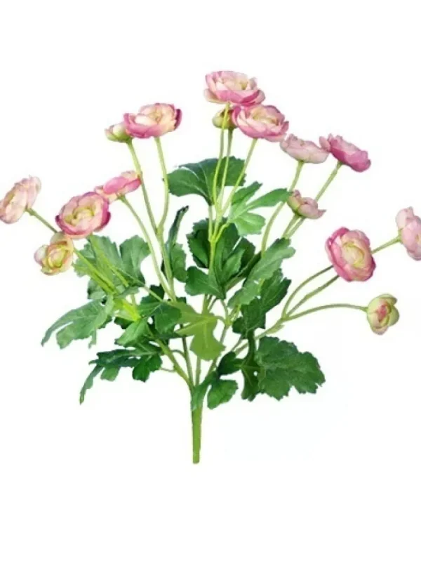 Ranunculus Bush 13 in. Pink