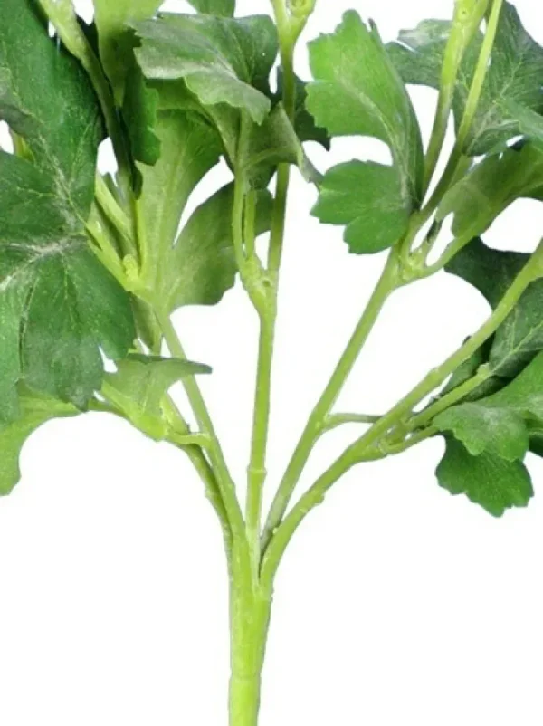 Ranunculus Bush 13 in. Yellow