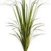 Reed Grass Bush 67 in. Green