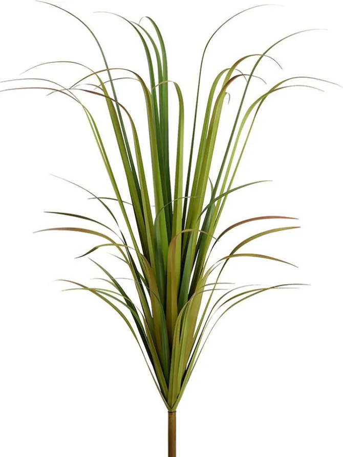 reed_grass_bush__in_green_0-1.webp Reed Grass Bush 67 in. Green