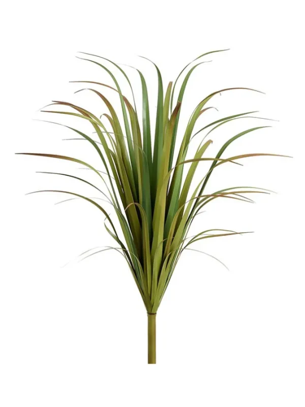 Reed Grass Bush 47 in. Green