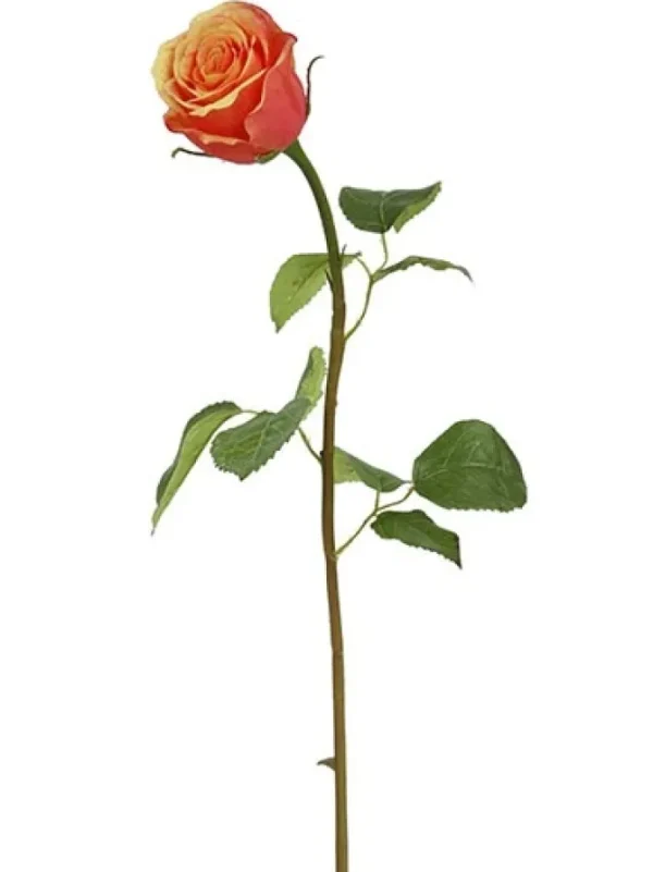 Rose Bud 19.5 in. Peach / Red
