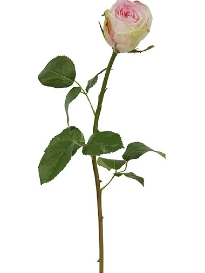 rose_bud__in_pink__white_0.webp Rose Bud 19.5 in. Pink / White