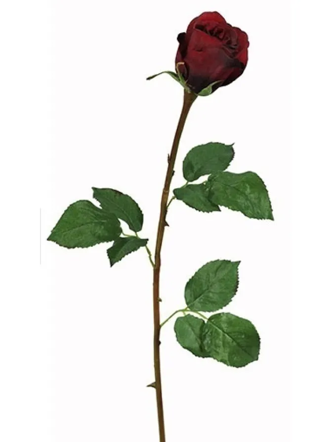 rose_bud__in_red_0.webp Rose Bud 19.5 in. Red