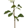 Rose Bud 19.5 in. White