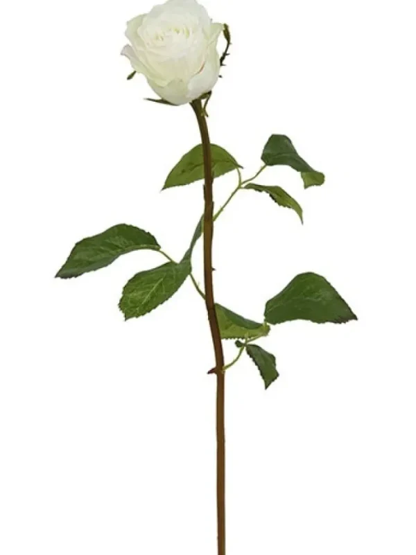 Rose Bud 19.5 in. White