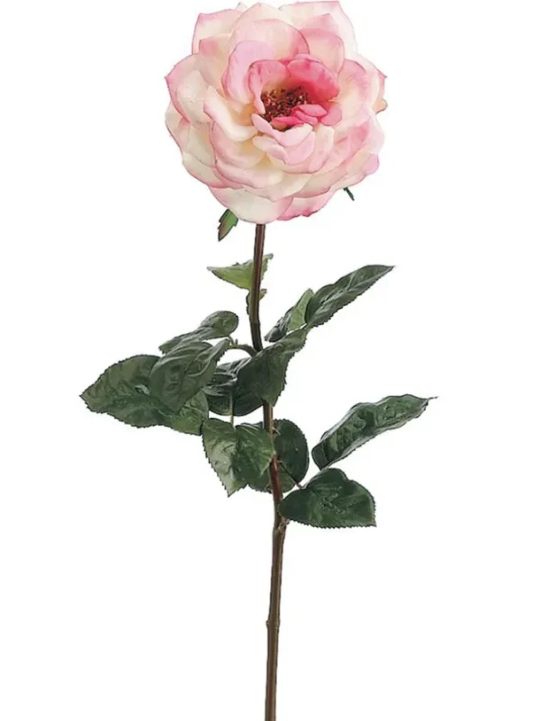Rose Orlane 25.5in Cream/Pink