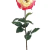 Rose Orlane 25.5in Gold/Beauty