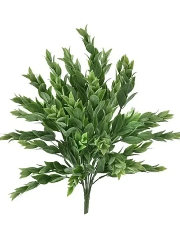 Ruscus Bush 15 in. Green