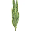Sansevieria 32 In. Geen/Yellow