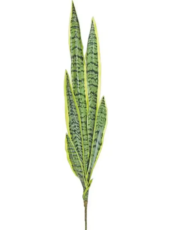 Sansevieria 32 In. Geen/Yellow