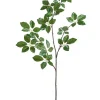 Scheffler Leaf Spray 50in.-Green