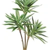 Song of Jamaica 23.5 in. Green/white