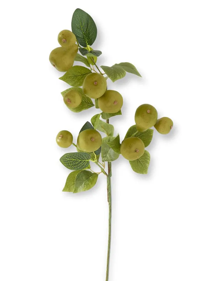 speckled_pear_stem__in_gr_0.webp Speckled Pear Stem 31 in. Green