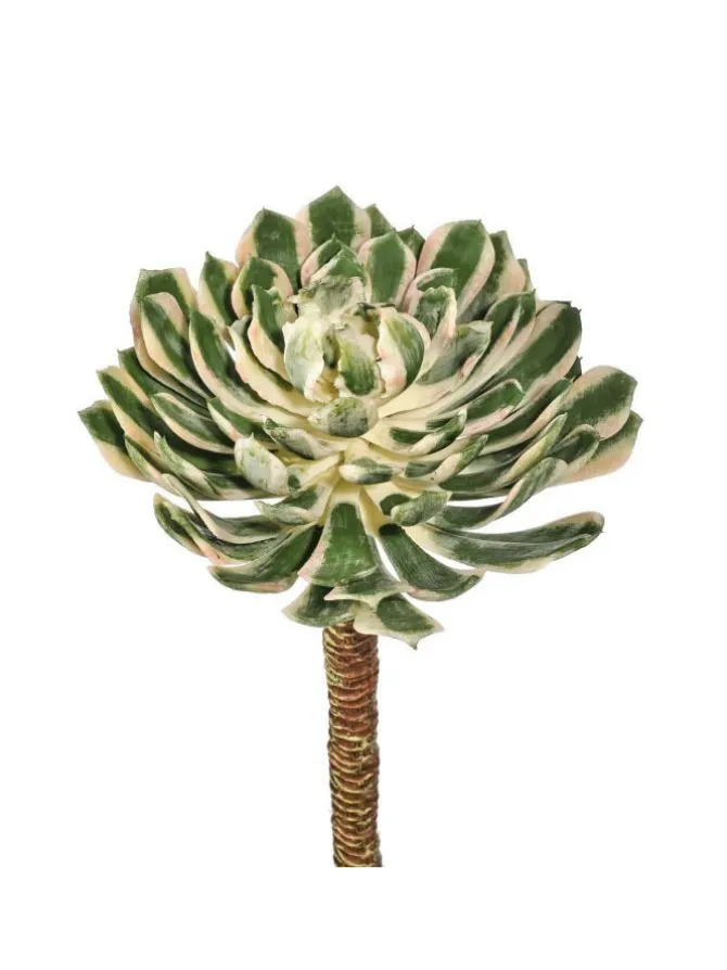 spoon_succulent__in_green_0.webp Spoon Succulent 10 in. Green/Cream/Pink