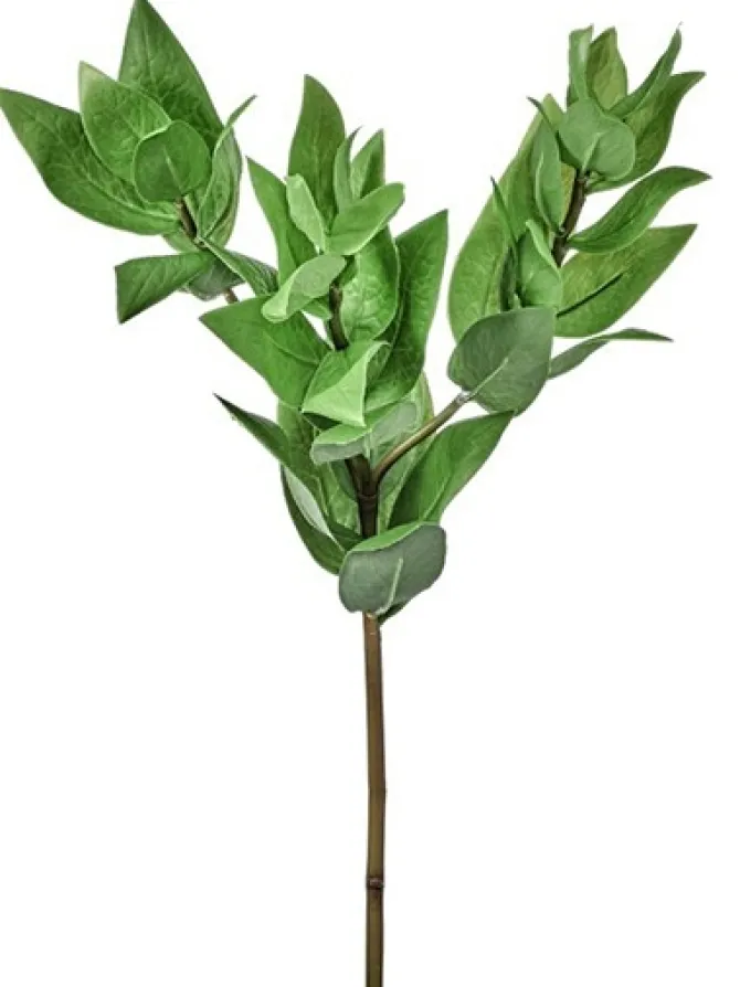 triple_israeli_ruscus_spr_0.webp Triple Israeli Ruscus Spray 20 in.