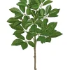 Trumpet Tree Spray 34 in.