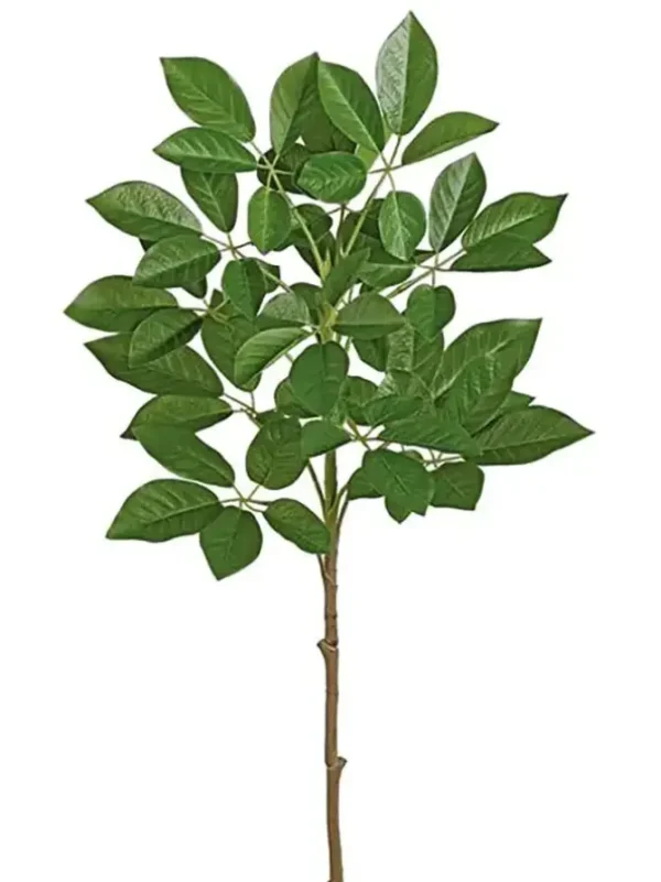 Trumpet Tree Spray 34 in.