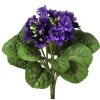 Violet Plant 12 in. Violet