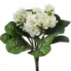 Violet Plant 12 in. White