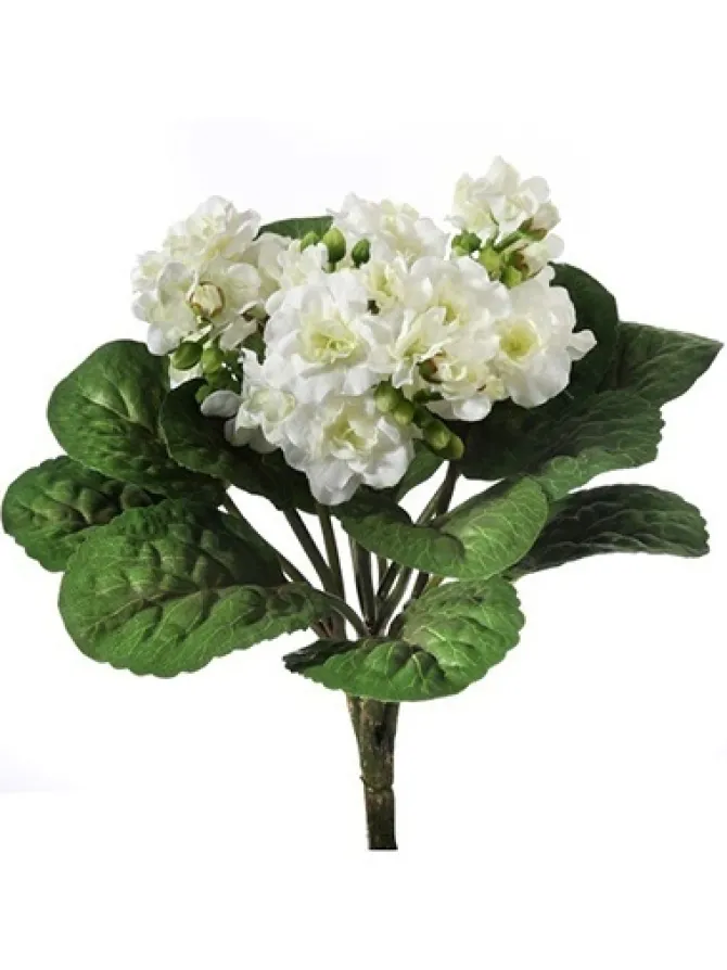 violet_plant__in_white_0.webp Violet Plant 12 in. White