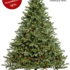 Virginia Fir Always Lit 12 FT