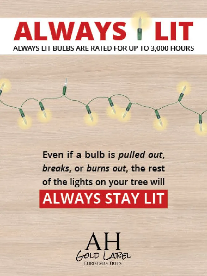 virginia_fir_always_lit___1-1.webp Virginia Fir Always Lit 9 FT