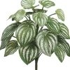 Watermelon Bush 12 in. Green / Silver