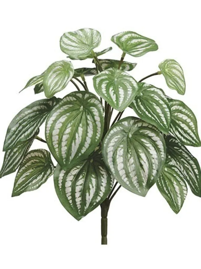 watermelon_bush__in_green_0.webp Watermelon Bush 12 in. Green / Silver