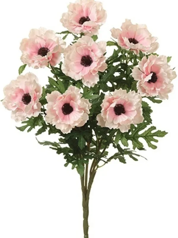 Wave Anemone Bush 20 in. Pink / Cream