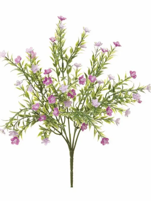 Waxflower Bush 14 in. Lavender
