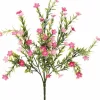 Waxflower Bush 14 in. Pink