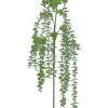 Weeping Eucalyptus Spray 48 in.