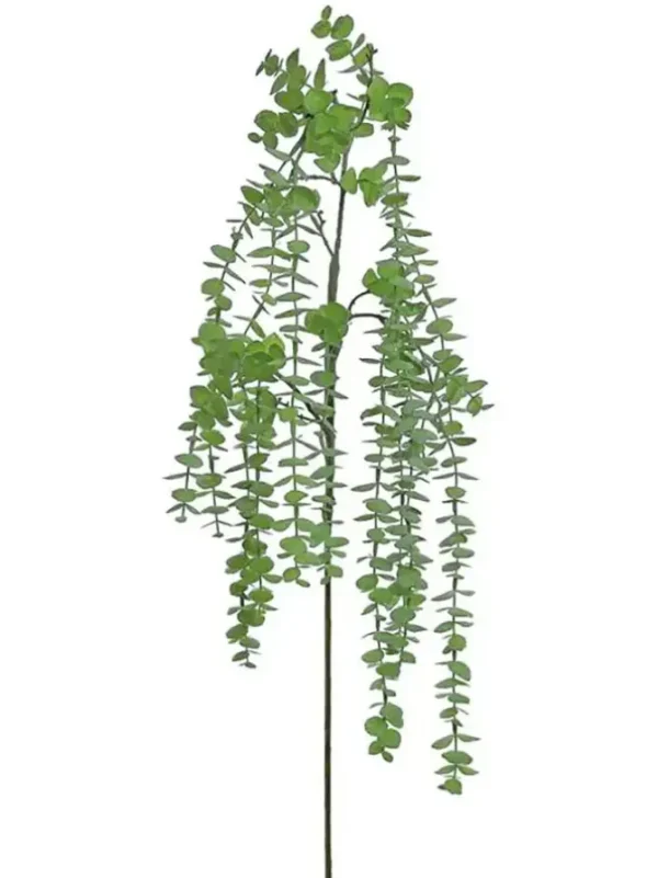 Weeping Eucalyptus Spray 48 in.