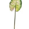 Wild Caladium Leaf 36.5 in. Green / Mauve