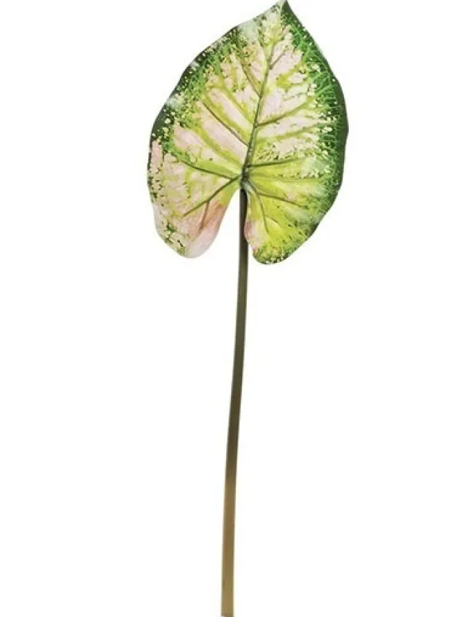 wild_caladium_leaf__in_gr_0-1.webp Wild Caladium Leaf 36.5 in. Green / Mauve