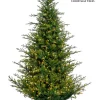 Williamsburg Fraser LED 9 FT