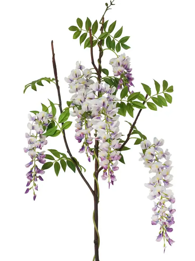 wisteria__in_lavender_0.webp Wisteria 55.5 in. Lavender