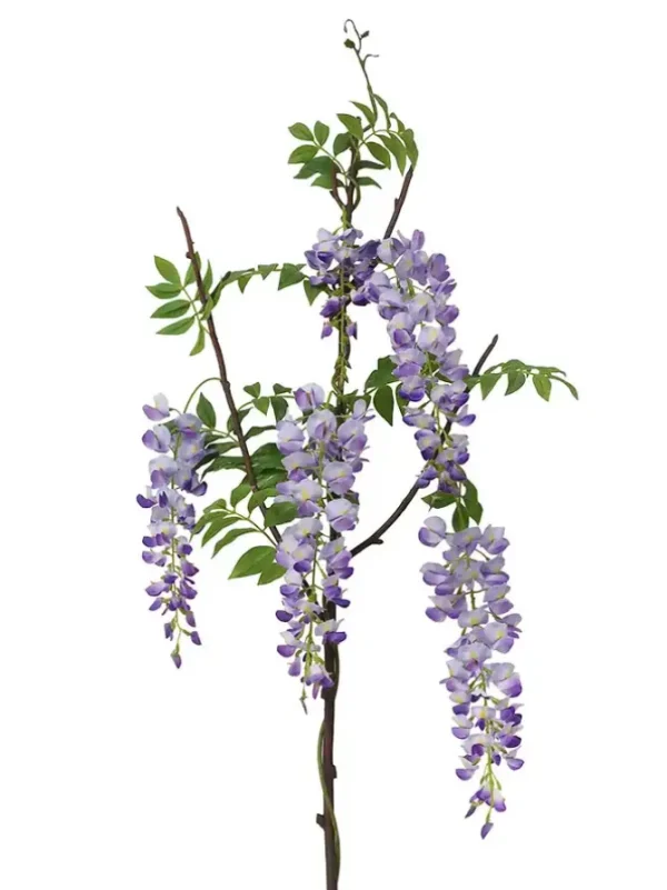 Wisteria 55.5 in. Light Blue/Purple