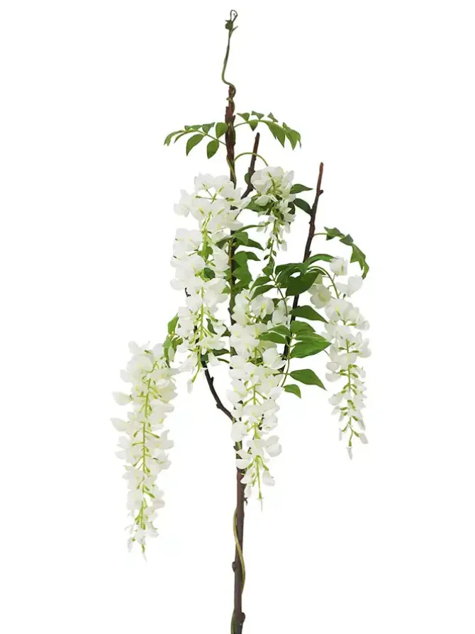 wisteria__in_white_0.webp Wisteria 55.5 in. White