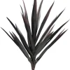 Yucca 27 in. Burgundy